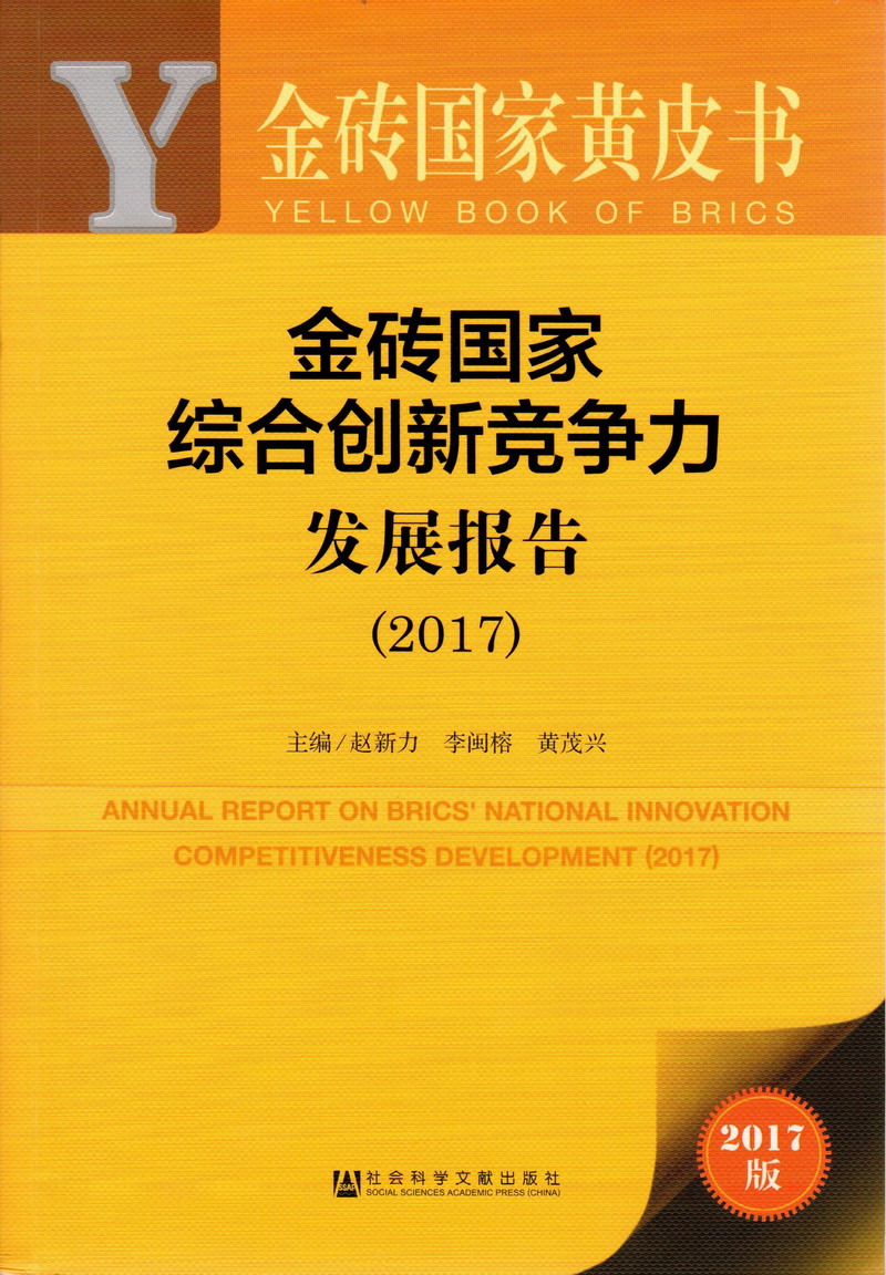 操日本女人的逼视屏-百度金砖国家综合创新竞争力发展报告（2017）